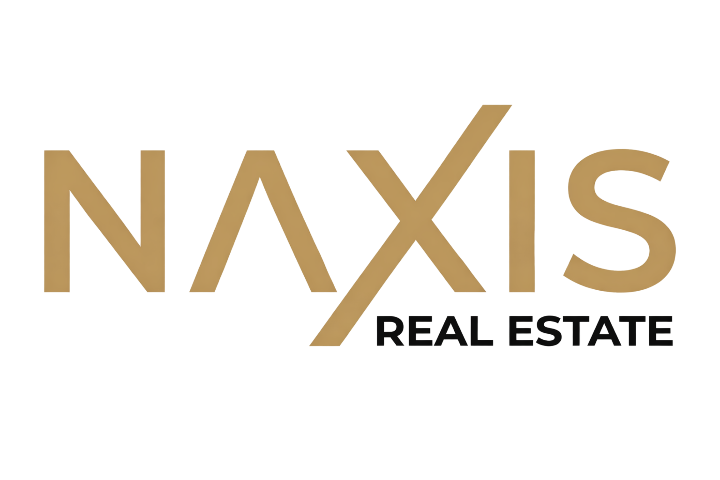 Naxis immobilier logo